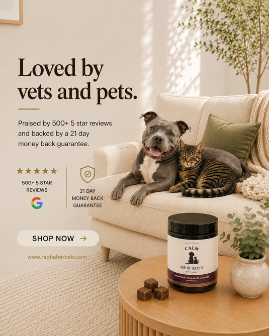Pet Anxiety Chews In Australia