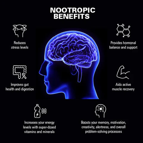 How do Nootropics help your brain function better