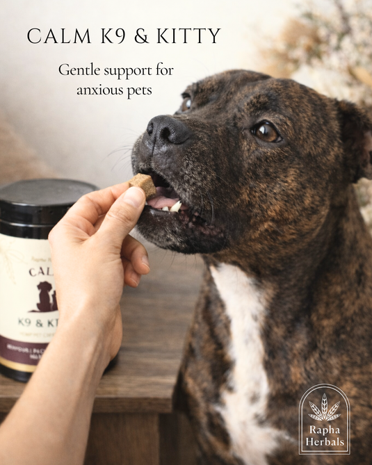 Dog Stress Relief Chews Australia