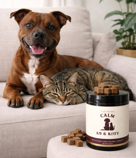 Calming Pet Chews