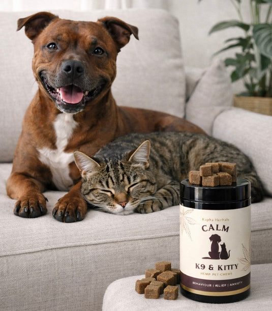 Calming Pet Chews