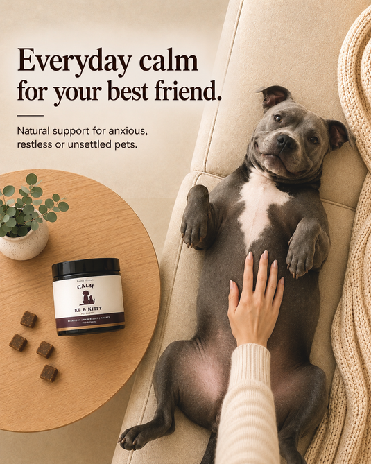 Dog Anxiety Chews In Australia