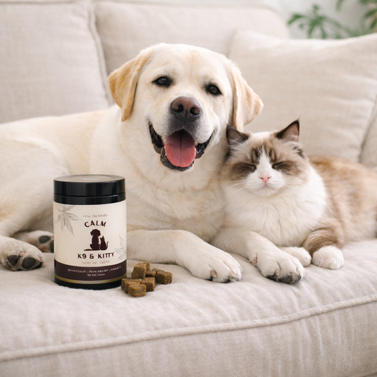 Calming Pet Chews