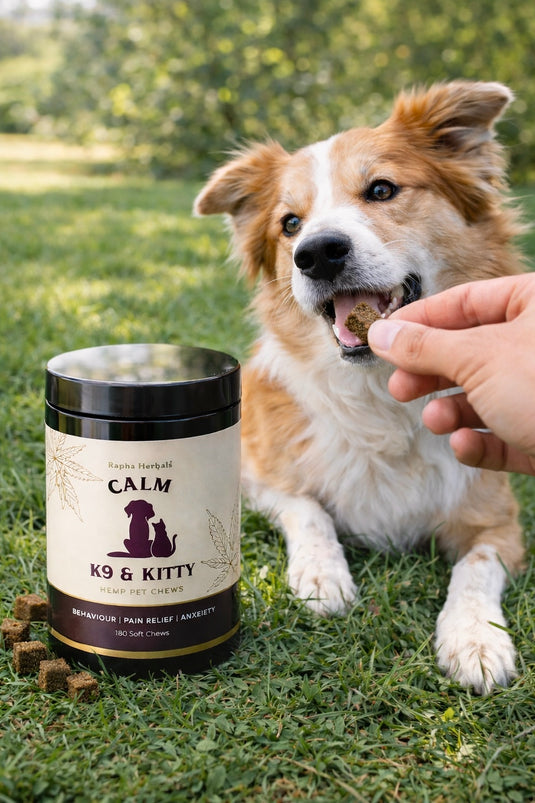 Calm K9 180pc Refill Jar